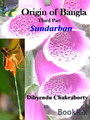 cover image of Origin of Bangla Third Part Sundarban